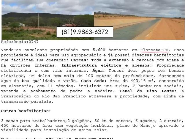 Fazenda venda em Região Geográfica Imediata de Serra Talhada, Floresta