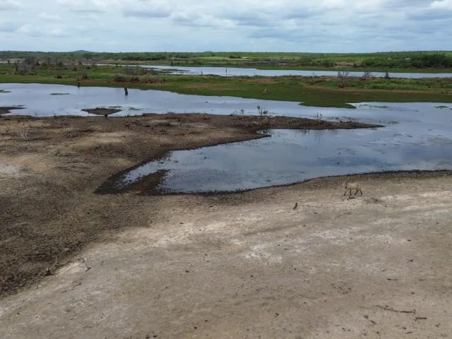 Fazenda venda em Região Geográfica Imediata de Serra Talhada, Floresta