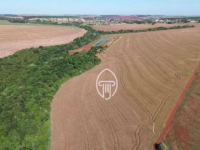Fazenda venda em Região Geográfica Imediata de Londrina, Florestópolis