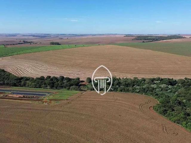 Fazenda venda em Região Geográfica Imediata de Londrina, Florestópolis