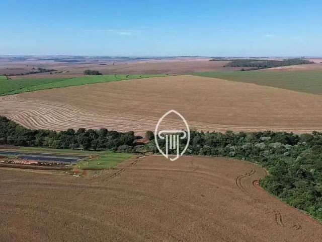 Fazenda venda em Região Geográfica Imediata de Londrina, Florestópolis