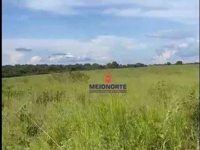 Fazenda venda em Floriano, Região Nordeste