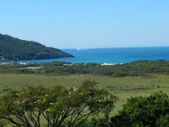 Fazenda venda em Pântano do Sul, Desterro