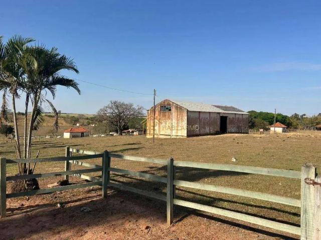 Fazenda venda em Região Imediata de Adamantina-Lucélia, Florida Paulista