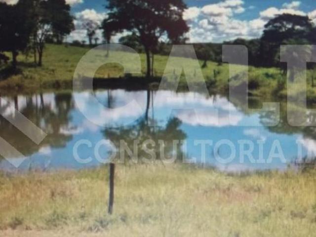 Sítio e chácara venda em Região Geográfica Imediata de Águas Lindas de Goiás, Região Integrada de Desenvolvimento do Distrito Federal e Entorno