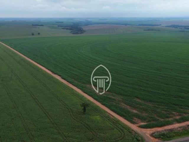 Fazenda venda em Formosa do Oeste, Região Geográfica Intermediária de Cascavel