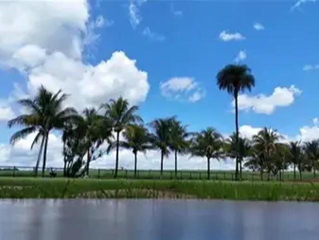 Fazenda venda em Região Geográfica Imediata de Águas Lindas de Goiás, Região Integrada de Desenvolvimento do Distrito Federal e Entorno