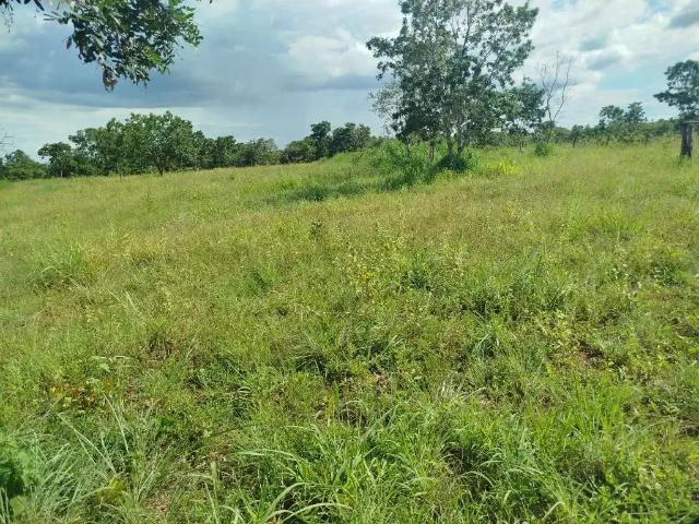 Fazenda venda em Região Geográfica Imediata de Águas Lindas de Goiás, Região Integrada de Desenvolvimento do Distrito Federal e Entorno