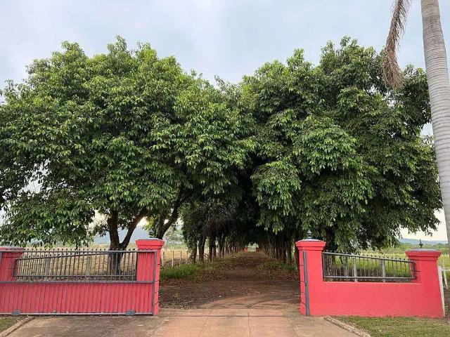 Fazenda venda em Região Geográfica Imediata de Águas Lindas de Goiás, Região Integrada de Desenvolvimento do Distrito Federal e Entorno