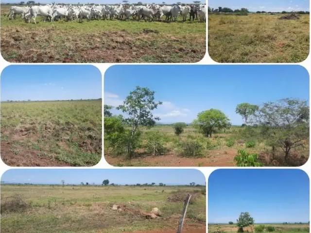 Fazenda venda em Região Geográfica Imediata de Águas Lindas de Goiás, Região Integrada de Desenvolvimento do Distrito Federal e Entorno