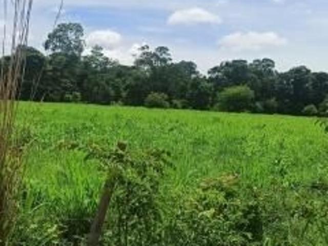 Fazenda venda em Região Geográfica Imediata de Águas Lindas de Goiás, Região Integrada de Desenvolvimento do Distrito Federal e Entorno