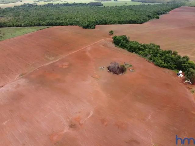 Fazenda venda em Região Geográfica Imediata de Gurupi, Formoso do Araguaia
