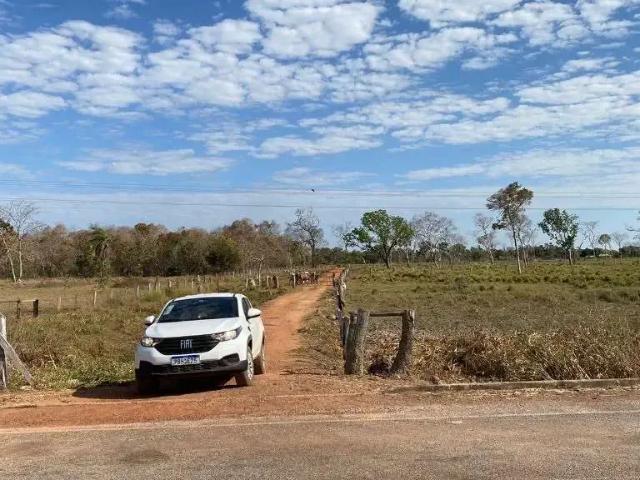 Fazenda venda em Região Geográfica Imediata de Gurupi, Formoso do Araguaia