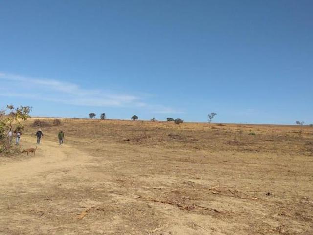 Sítio e chácara venda em Região Geográfica Imediata de Unaí, Formoso