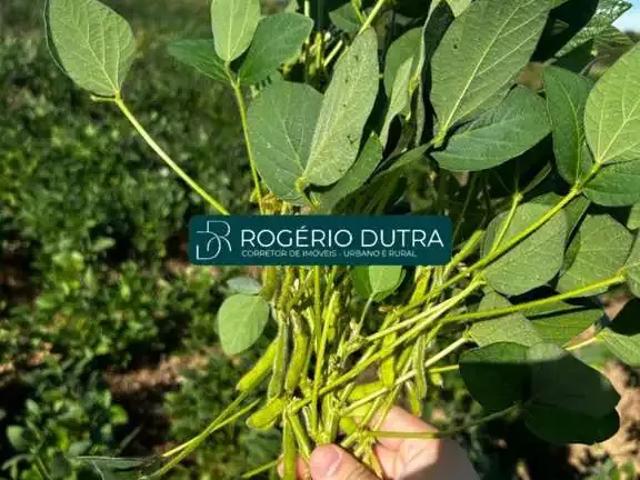 Fazenda venda em Região Geográfica Imediata de Unaí, Formoso
