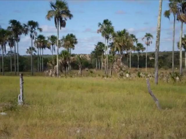 Fazenda venda em Região Geográfica Imediata de Unaí, Formoso