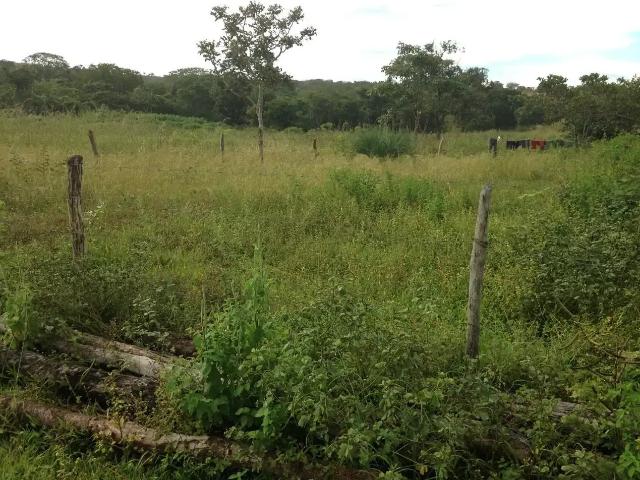 Fazenda venda em Região Geográfica Imediata de Unaí, Formoso