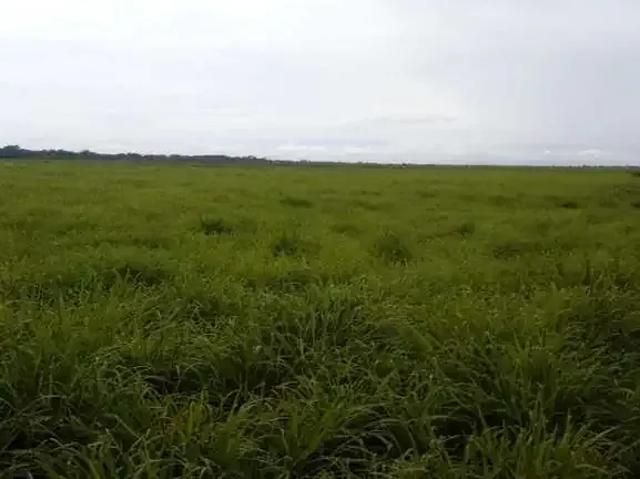 Fazenda venda em Região Geográfica Imediata de Uberaba, Conquista