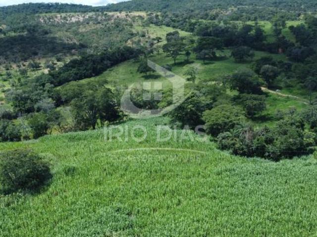 Sítio e chácara venda em Região Geográfica Imediata de Sete Lagoas, Fortuna de Minas