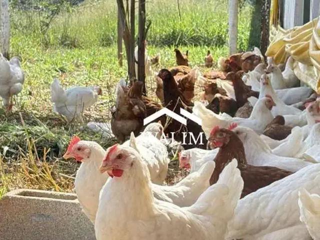Fazenda venda em Fortuna de Minas, Região Geográfica Intermediária de Belo Horizonte