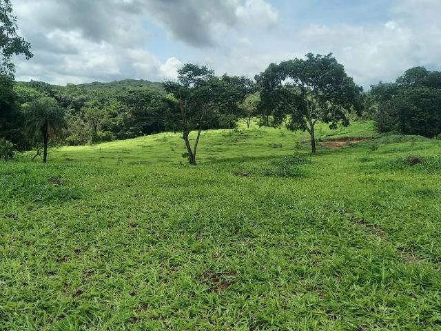 Fazenda venda em Fortuna de Minas, Região Geográfica Intermediária de Belo Horizonte