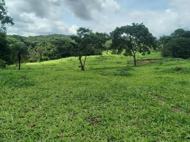 Fazenda venda em Região Geográfica Imediata de Sete Lagoas, Fortuna de Minas