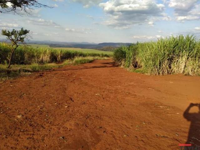 Sítio e chácara venda em Região Imediata de Franca, Juranda