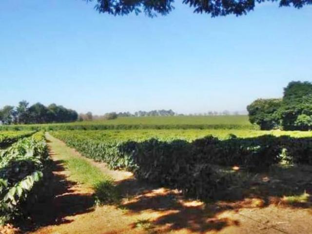 Sítio e chácara venda em Região Imediata de Franca, Juranda