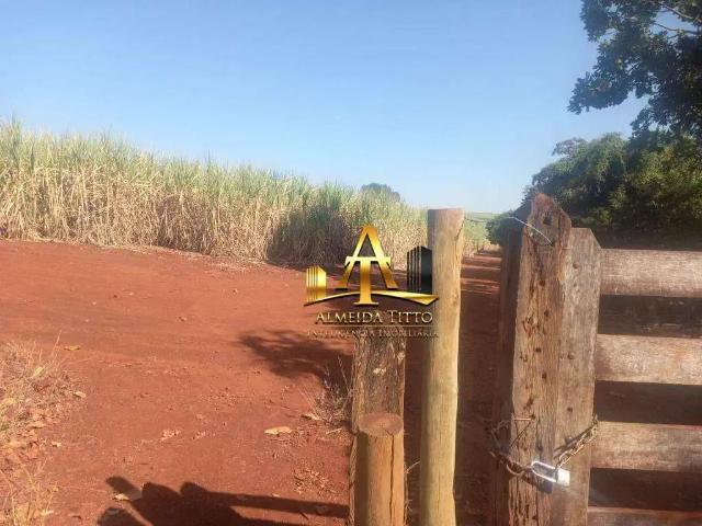 Fazenda venda em Região Imediata de Franca, Juranda