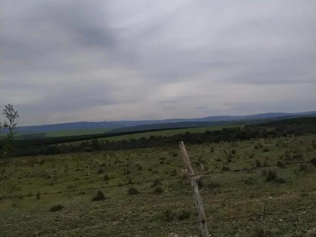 Fazenda venda em Região Imediata de Franca, Juranda