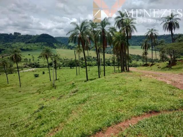 Fazenda venda em Região Imediata de Franca, Juranda
