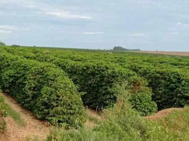 Fazenda venda em Região Imediata de Franca, Juranda