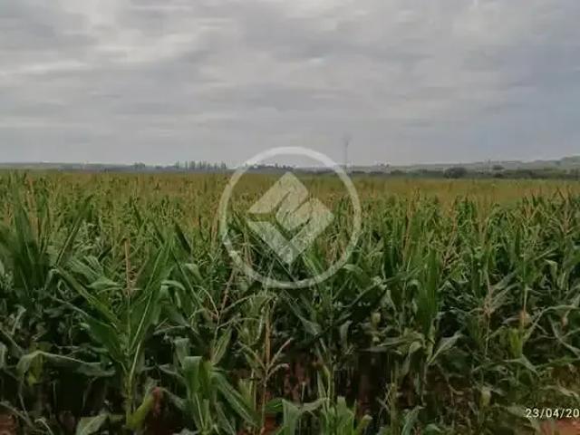 Fazenda venda em Região Geográfica Imediata de Umuarama, Região Metropolitana de Umuarama