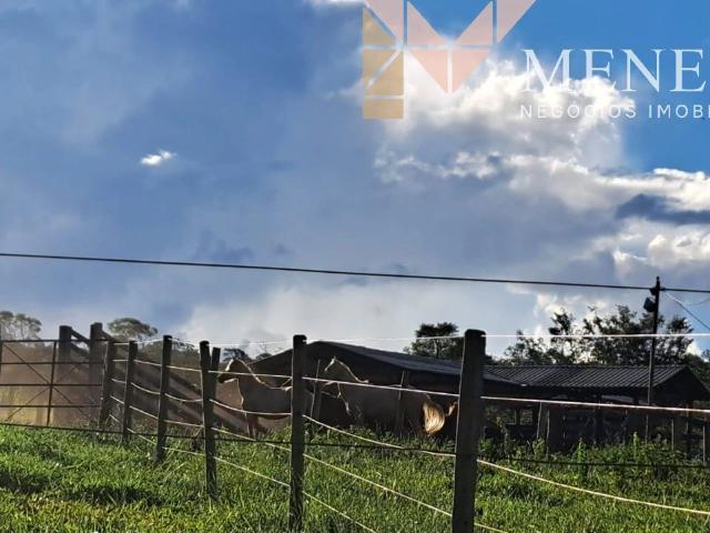 Fazenda venda em Francisco Dumont, Região Geográfica Intermediária de Montes Claros