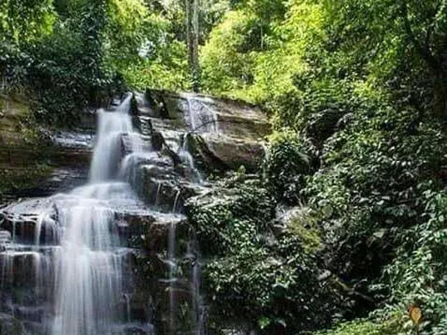 Fazenda venda em Região Imediata de São Paulo, Região Metropolitana de São Paulo