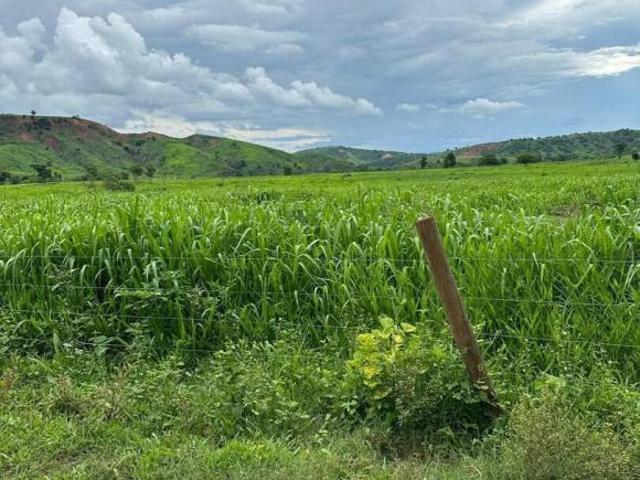 Sítio e chácara venda em Frei Inocêncio, Região Geográfica Intermediária de Governador Valadares