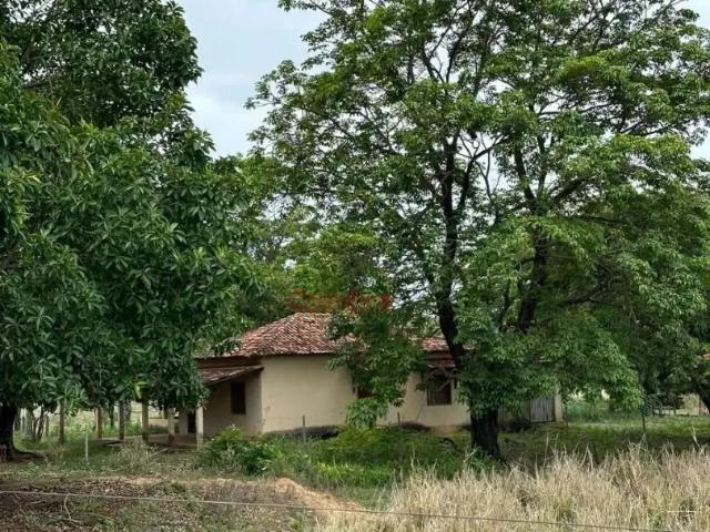Fazenda venda em Região Geográfica Imediata de Governador Valadares, Frei Inocêncio