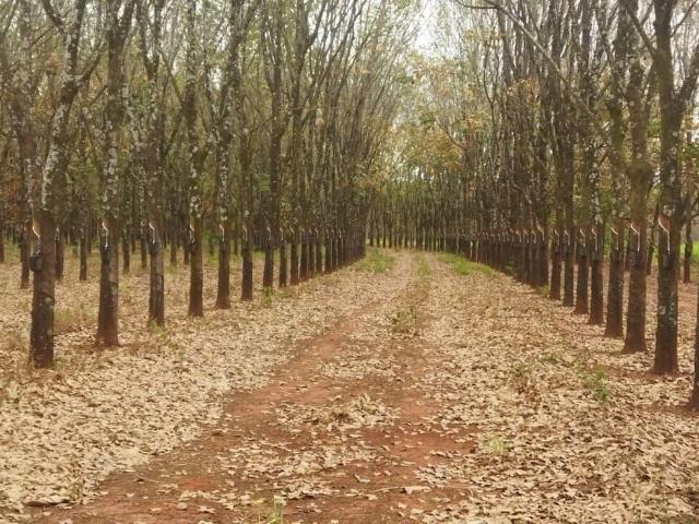Fazenda venda em Frutal, Região Geográfica Intermediária de Uberaba