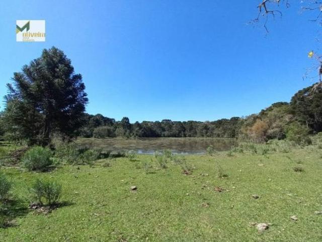 Sítio e chácara venda em Região Geográfica Imediata de Porto Alegre, Região Metropolitana de Porto Alegre