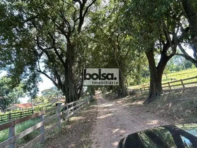 Fazenda venda em Região Imediata de Marília, Gália