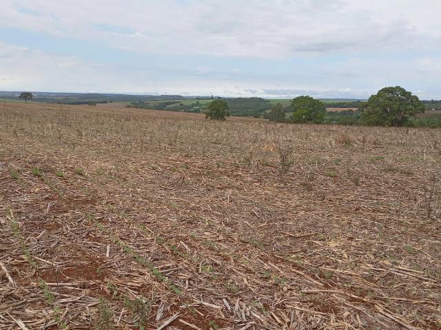 Fazenda venda em Setor Industrial Munir Calixto, Anápolis