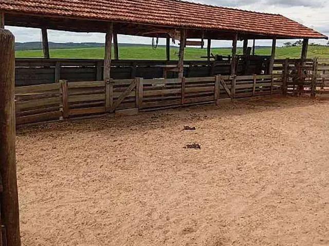 Fazenda venda em Região Imediata de Marília, Garça
