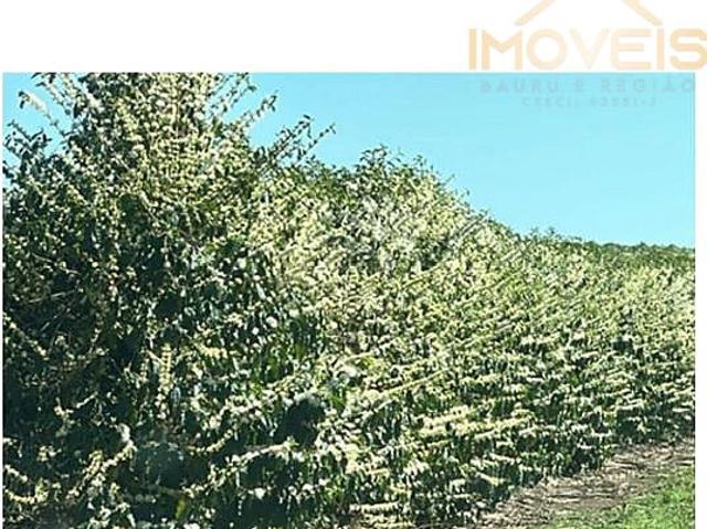 Fazenda venda em Garça