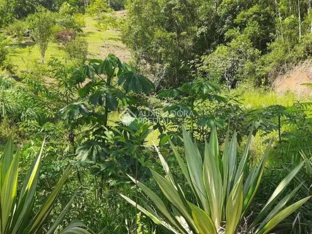 Fazenda venda em Região Geográfica Imediata de Florianópolis, Garopaba