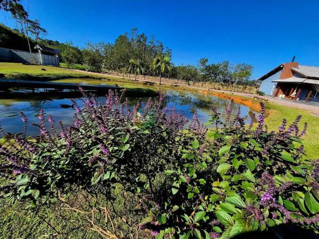 Fazenda venda em Região Geográfica Imediata de Blumenau, Gaspar