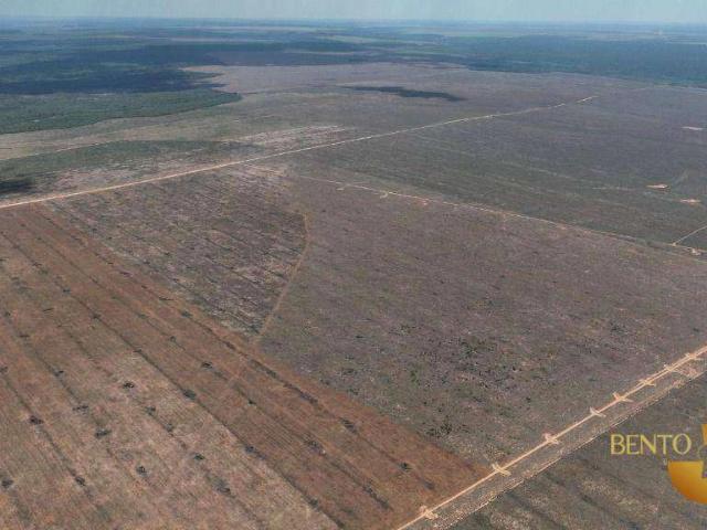 Fazenda venda em Gaúcha do Norte, Região Geográfica Intermediária de Barra do Garças