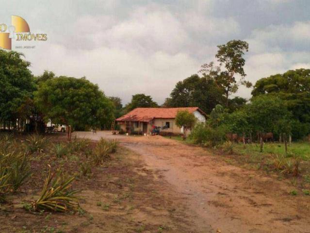 Fazenda venda em Gaúcha do Norte, Região Geográfica Intermediária de Barra do Garças