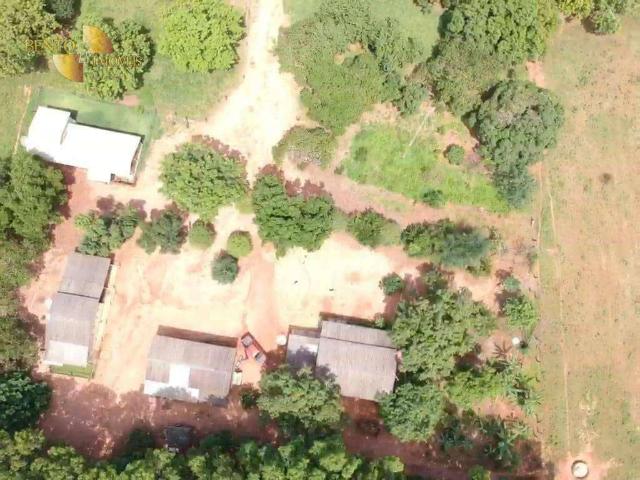 Fazenda venda em Gaúcha do Norte, Região Geográfica Intermediária de Barra do Garças