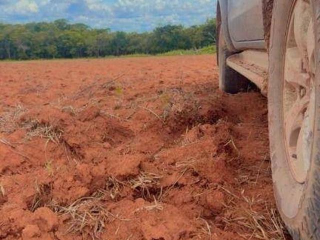 Fazenda venda em Gaúcha do Norte, Região Geográfica Intermediária de Barra do Garças