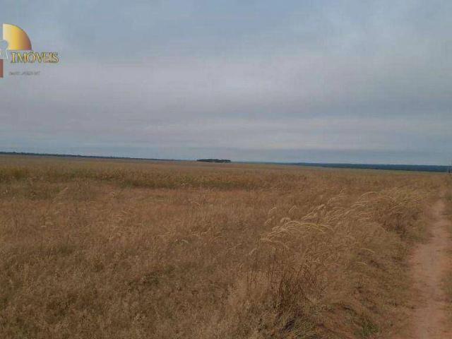 Fazenda venda em Gaúcha do Norte, Região Geográfica Intermediária de Barra do Garças